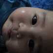 Puspa Kintan