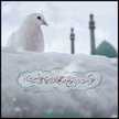 Fatima Z.M