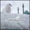 Fatima Z.M
