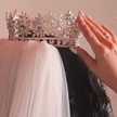 Amal Ayman