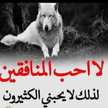 ابن الدوله 