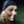 Tonia Margaret Mccourt