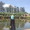 Dhita Rahiswari Eduard