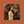 Niccolae Gasatan-Calimbo
