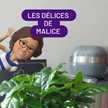 les délices de malice 