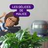 les délices de malice les délices de malice
