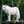 Iria_038