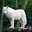 Iria_038