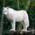 Iria_038 Iria_038
