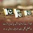 Shaheen Kashif