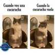 Sharon Aguirre