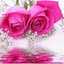 Aseel Esam