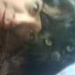 viviana graciela civarolo