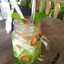 canoy
