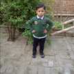 Mazhar Qayyum