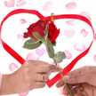 Pari