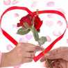 Pari