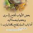 زهرة الياسمين 