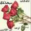نور الهدىNorhoda Nor