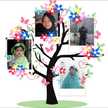 Ihat Solihat