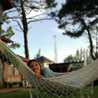 Agus Matos
