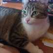 Moka