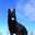 Josmar Straneo