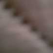 tine
