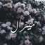 وصفات من مطبخي
