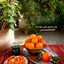 حانیه 