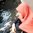swd winda