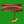 Arusu Flavours