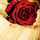 meam_alhammadi♏️💜 meam_alhammadi♏️💜