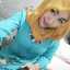 nindya Sari