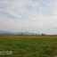 greenplanet