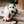 cheky