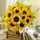 Sunshine