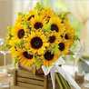 Sunshine