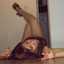 rosi candia