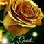 DZنًًًًٍٍٍٍسًًًٍٍٍمًًًٍٍٍةًًًٍٍٍٍ DZ