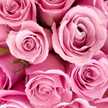 🌺ريتاج🌺