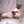 evi.l