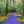 vasse