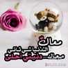 أحلامي الآمي أحلامي الآمي