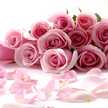 rosesarin
