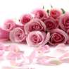 rosesarin