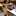 Eve_Joy Eve_Joy