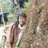 Doremon Phan