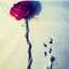 Hdon