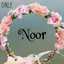 Noor shlool